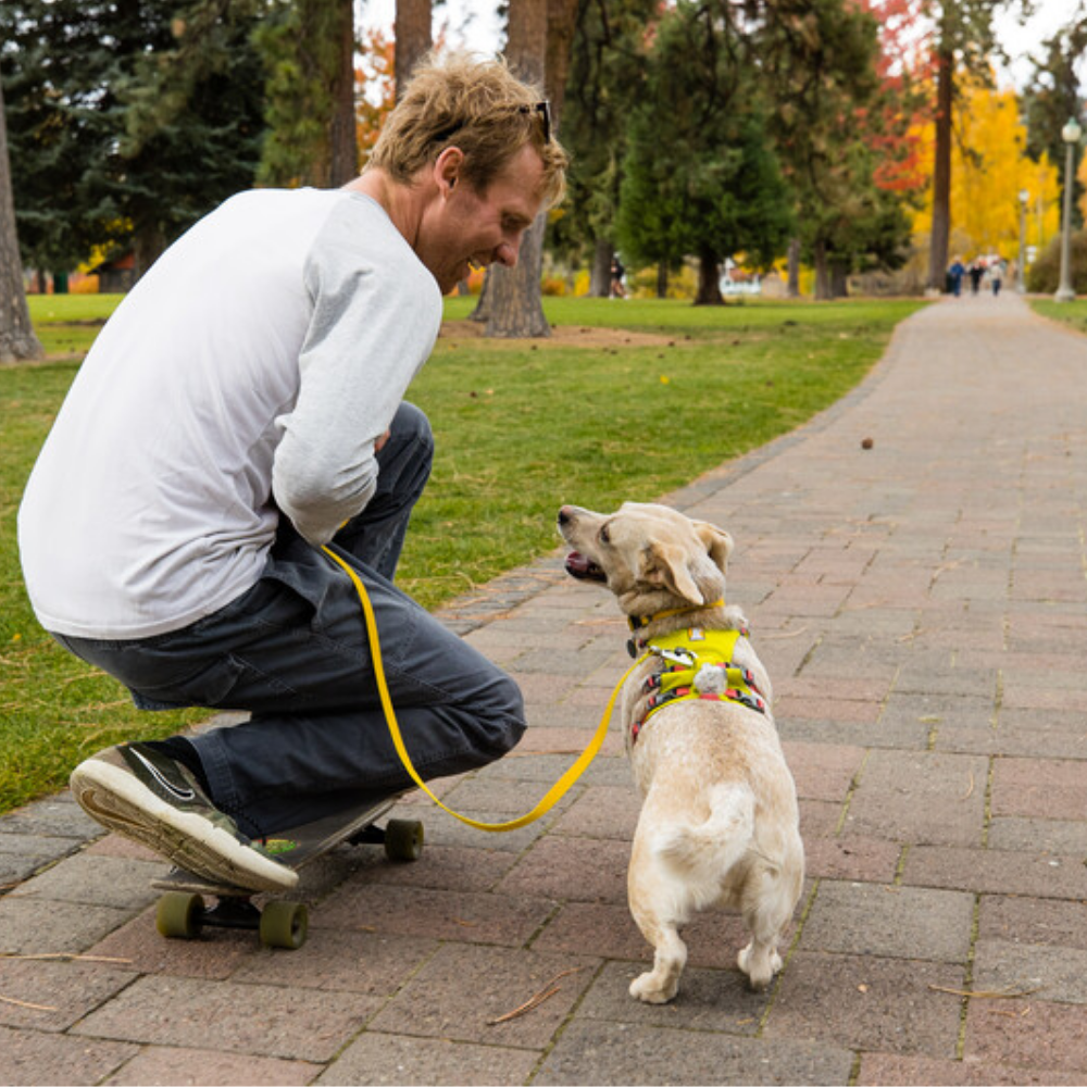 Flagline™ Dog Harness with Handle - Lichen Green - Ruffwear Homem com skate e cão com coleira num parque