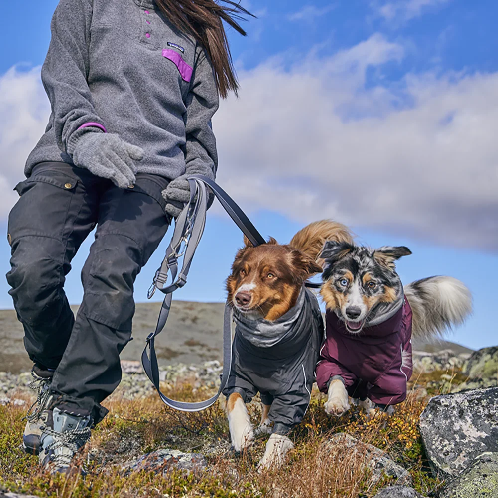 Multilong Leash II - Strawberry - Hurtta Dois cães com casacos acolchoados e uma pessoa com roupa de frio numa paisagem rochosa e céu azul.