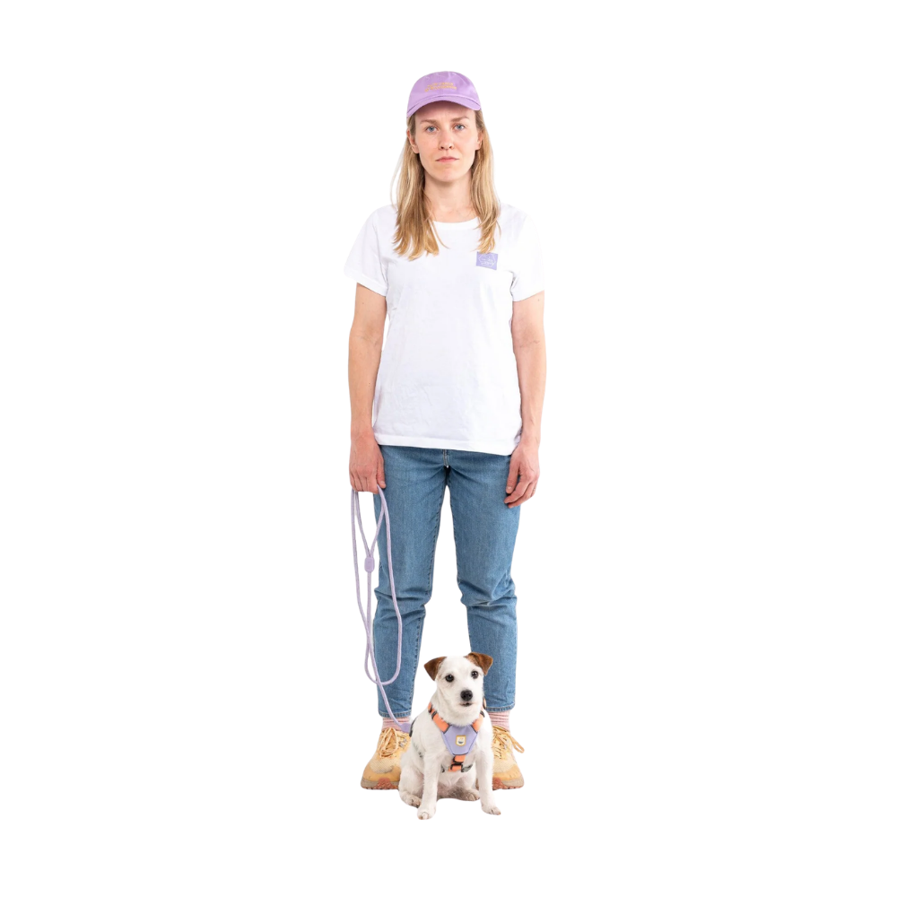 Arnês para cão Color block rosa-salmão misto - Wolly Wolf Mulher de pé com roupa casual e boné lilás, segurando trela de cão branco sentado com peitoral lilás