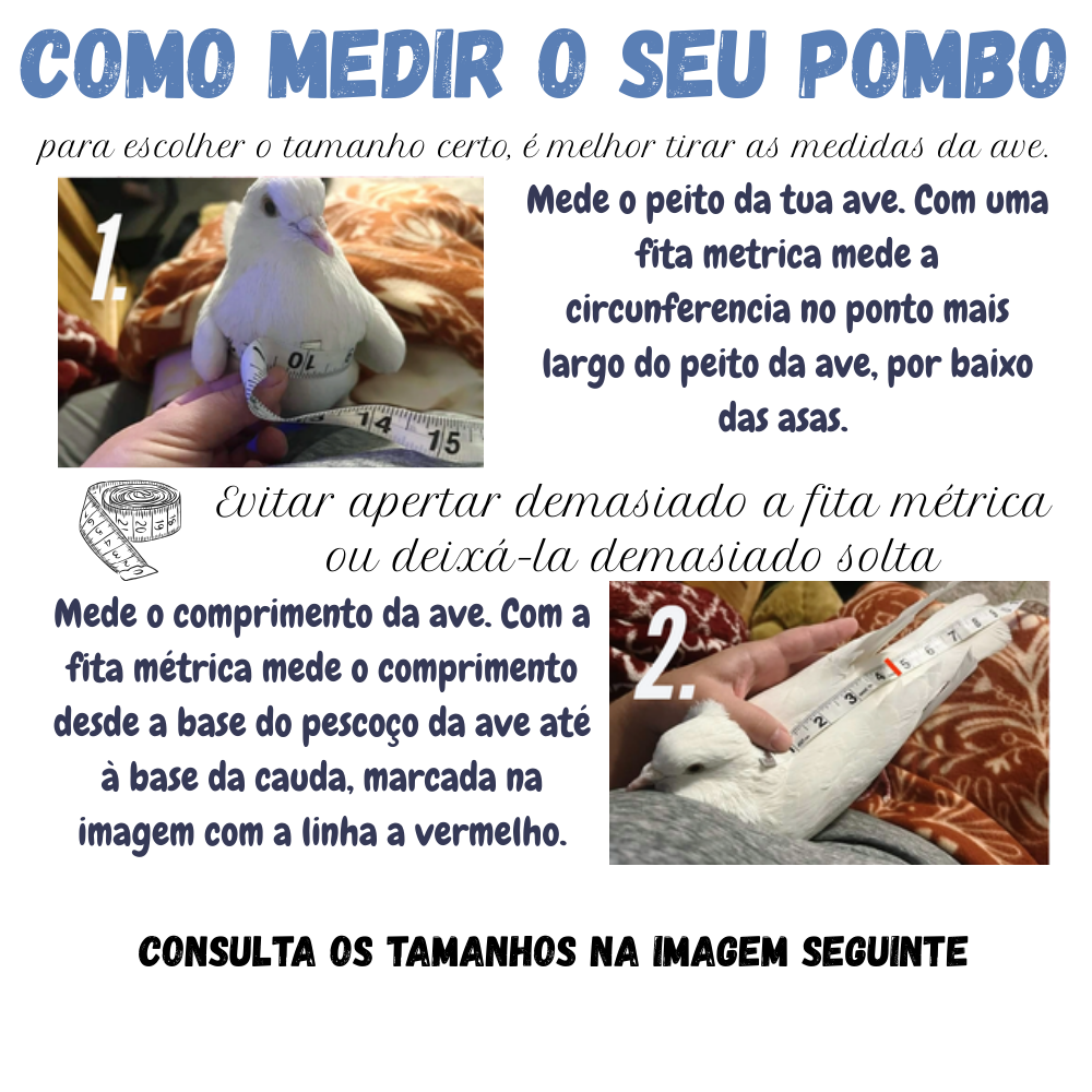Calças higienicas para Pombos - Pombinhos - Fanzy Pants Instruções para medir um pombo com fotos do pombo branco e fitas métricas