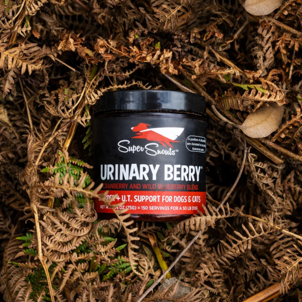 Super Snouts Urinary Berry 75g. Auxilia o trato urinário. Antioxidante natural. Vitamina C. Frasco preto de suplemento para suporte urinário para cães e gatos em folhas secas