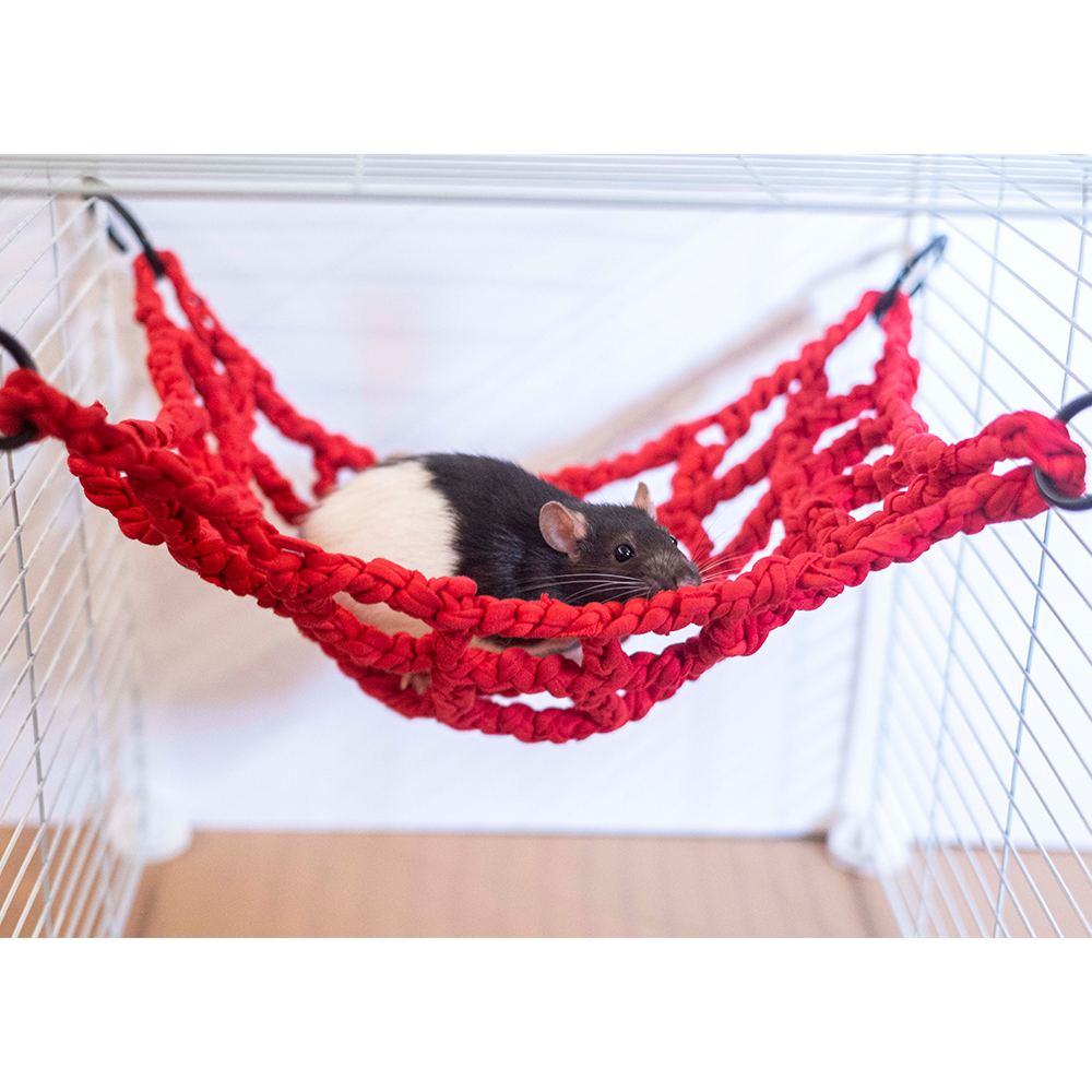 Rede Vermelha em Crochet - Fall Breakers Rato preto e branco numa rede vermelha dentro de uma gaiola branca