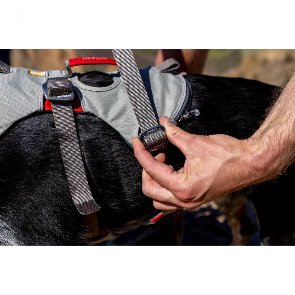 Doubleback™ Full Body Dog Harness Peitoral cinzento para cão preto com alças cinza e detalhes vermelhos