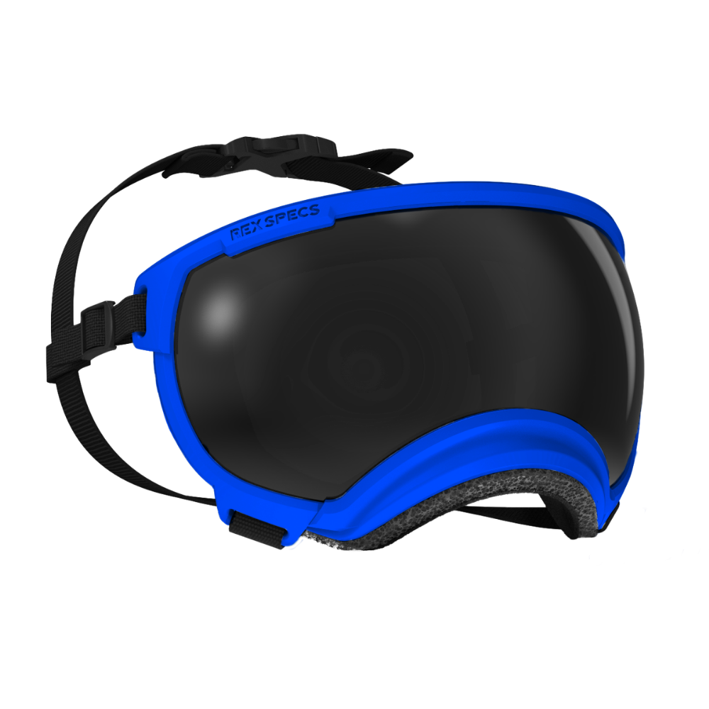 Óculos - RexSpecs V2 - Azul escuro "Balkan Blue" Óculos desportivos com armação azul e lente escura