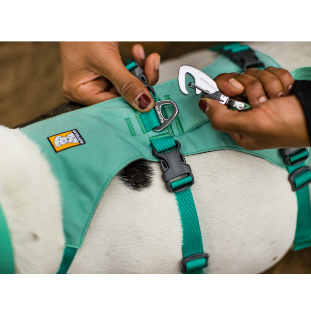 Flagline™ Dog Harness with Handle - Sage Green - Ruffwear Arnês verde com fivelas e presilha metálica para cão branco com manchas pretas