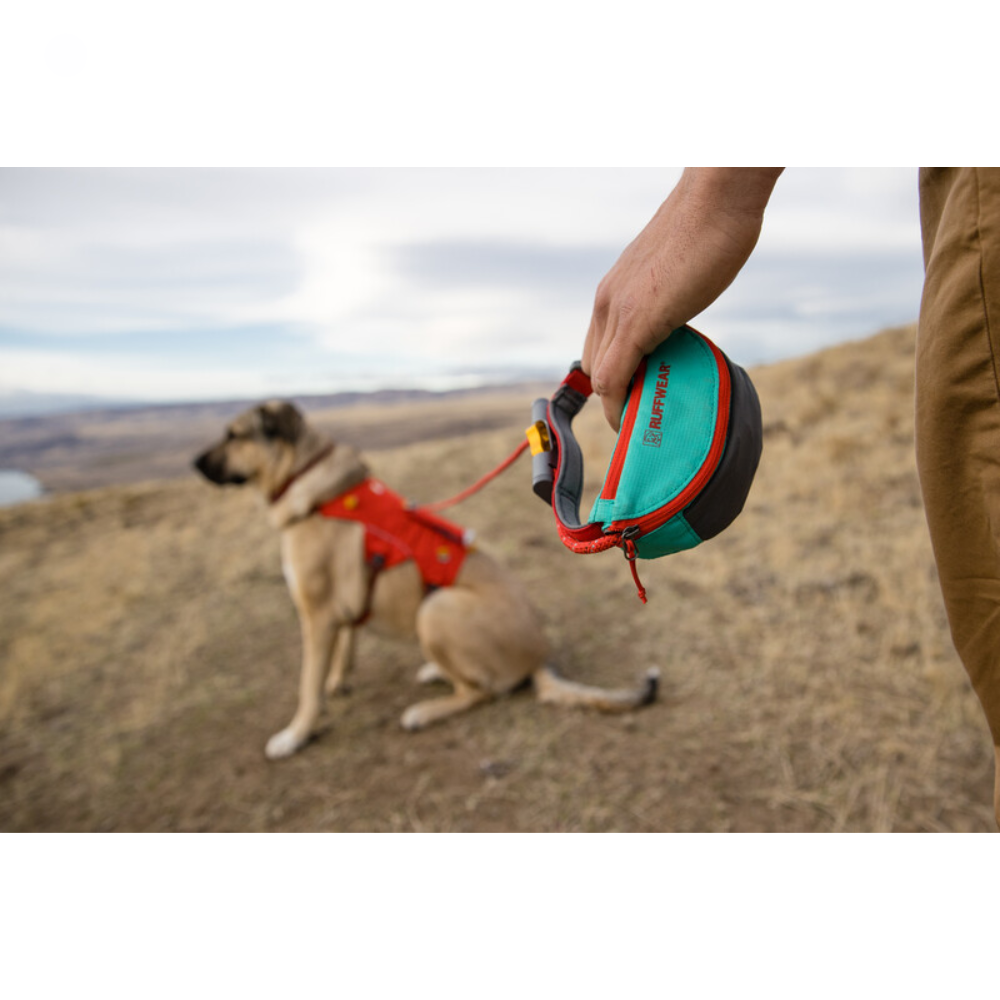 Hitch Hiker™ Leash - Aurora Teal Cão com arnês vermelho e trela verde e vermelha com inscrição RUFFWEAR num campo seco.