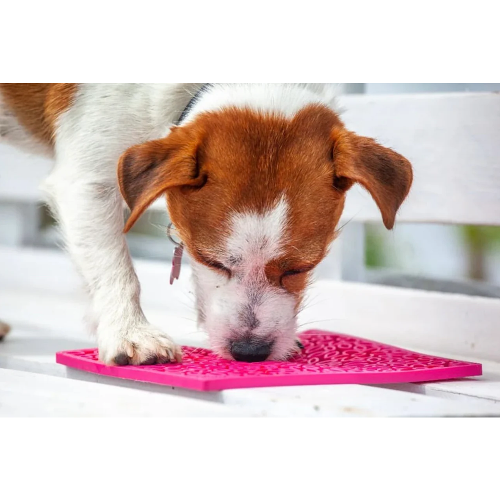 Tapete de lamber Flower Power eMat! LickMat Cão pequeno cheirando tábua de silicone rosa texturizada sobre superfície branca