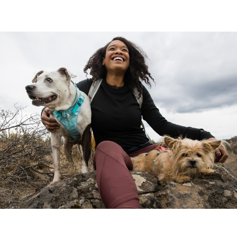 Flagline™ Dog Harness with Handle - Sage Green - Ruffwear Mulher com dois cães ao ar livre sentada numa rocha