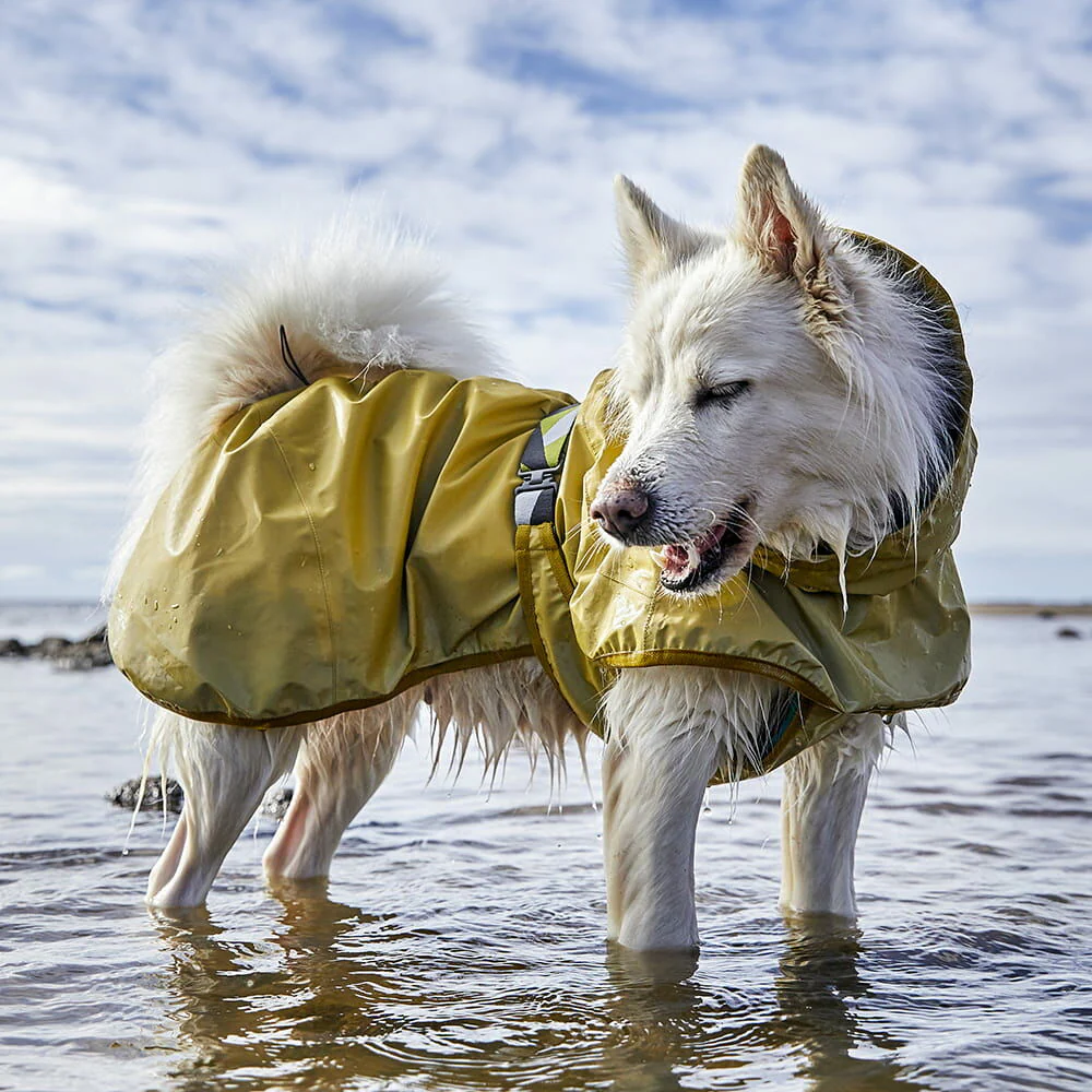 Mudventure Reflective Coat - TUMERIC - Capa da Chuva - Hurtta Cão branco com casaco impermeável amarelo em água rasa sob céu nublado