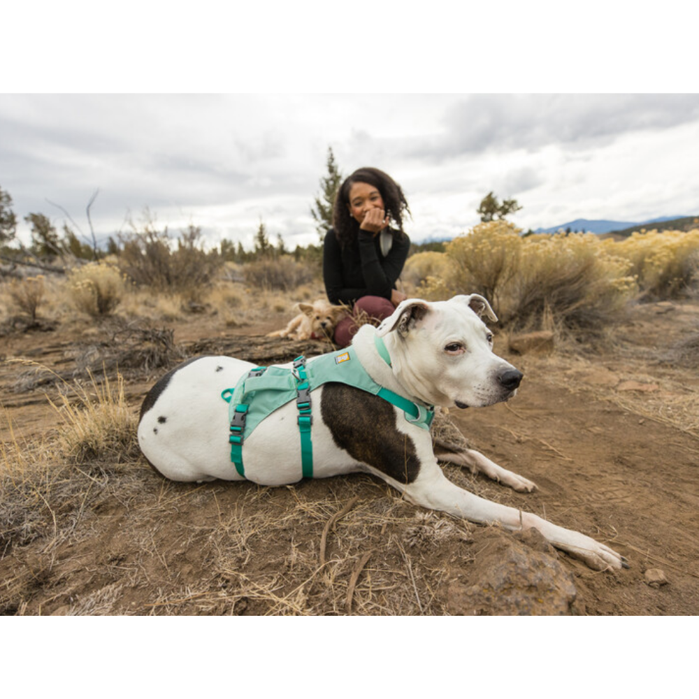 Flagline™ Dog Harness with Handle - Sage Green - Ruffwear Cão com arnês verde água deitado em terra com mulher ao fundo em paisagem natural