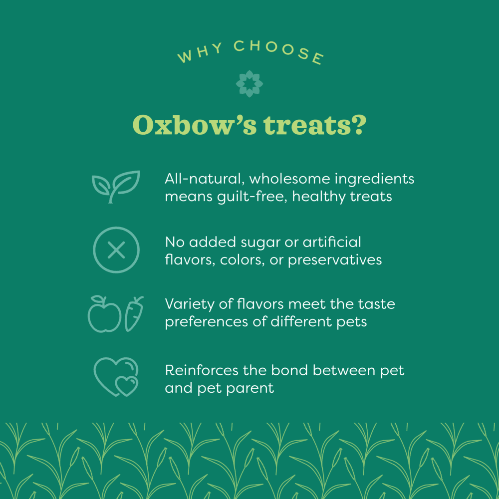 Oxbow Simple Treats Arando Cartaz verde com texto sobre petiscos Oxbow para animais