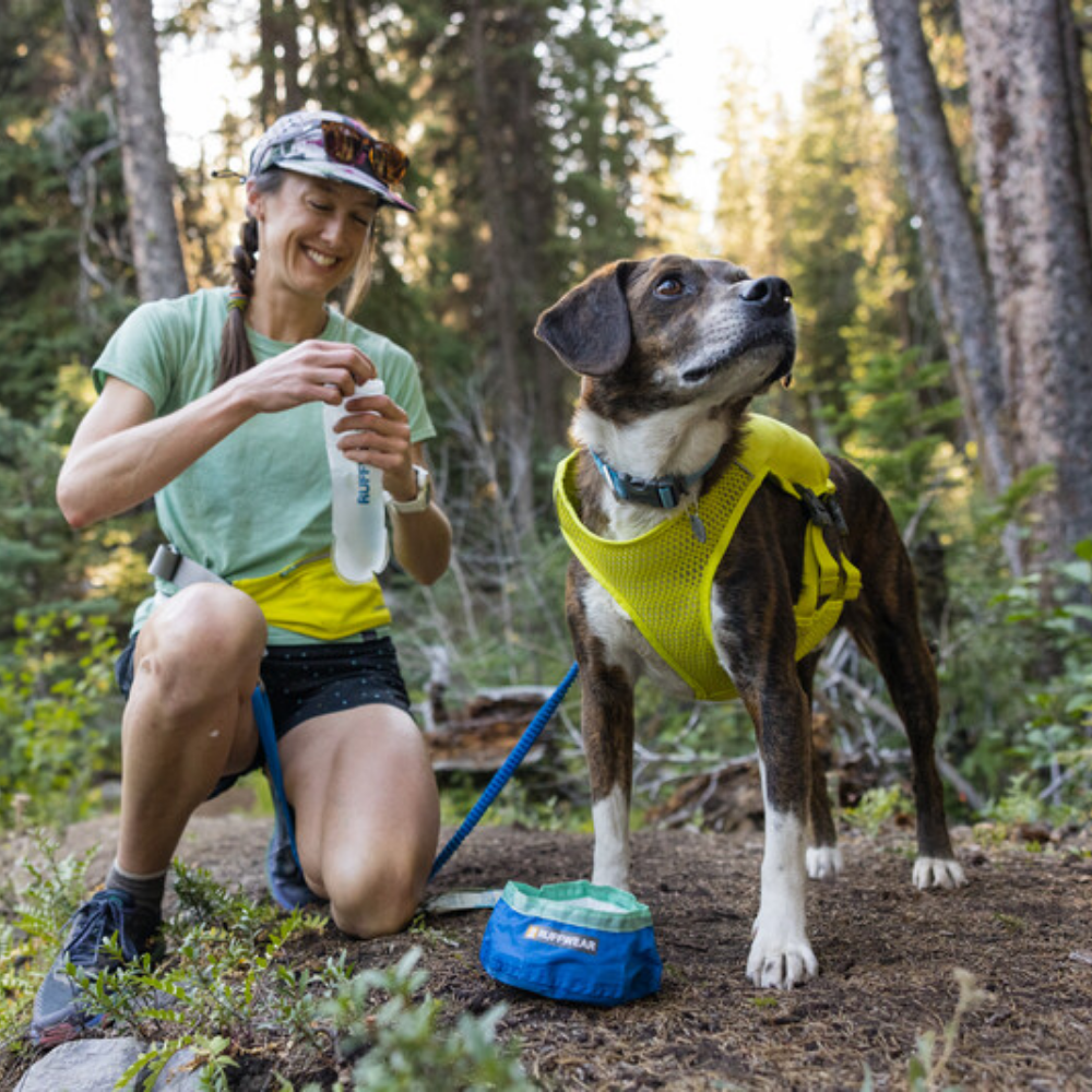 Trail Runner™ Running Belt - Lichen Green Mulher com garrafa branco e azul e cão com peitoral amarelo em floresta