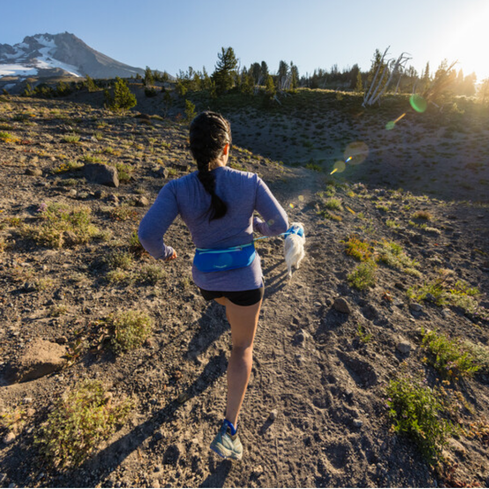 Trail Runner™ Running Belt - Blue Pool Mulher de costas a correr numa trilha ao ar livre com cinto azul e cão branco
