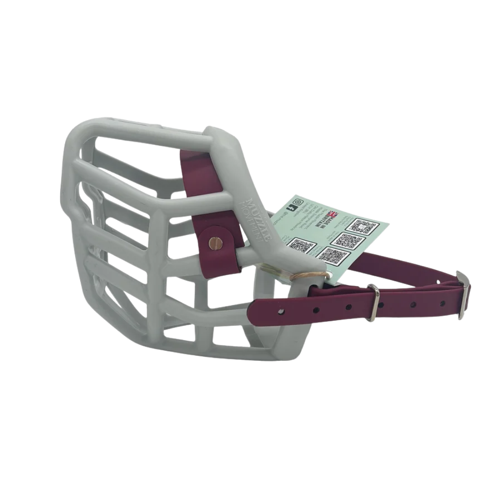 Tolly - The Muzzle Movement Focinho para cão em plástico cinzento com correia bordeaux e etiqueta com QR codes