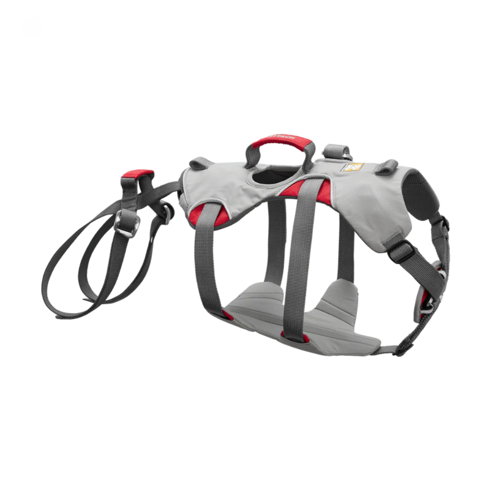 Doubleback™ Full Body Dog Harness Colete peitoral para cão cinzento com detalhes vermelhos e alças ajustáveis