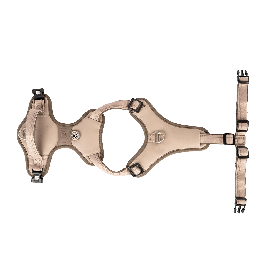 GOTCHA! Smart ID Sport Harness - Matrix 2.0 Areia Arnês para cães bege com alças e fivelas pretas