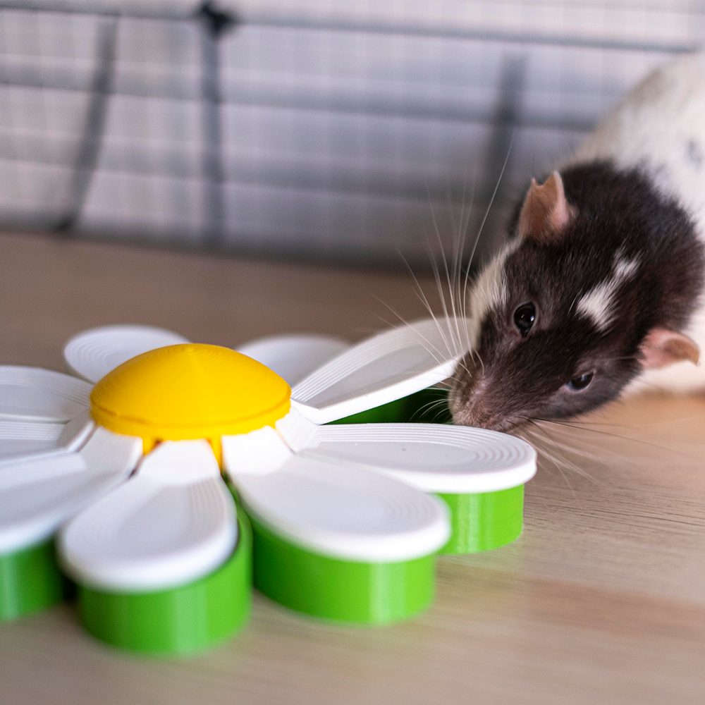 Foraging Flower Tapete de rato em forma de flor colorida com rato ao lado