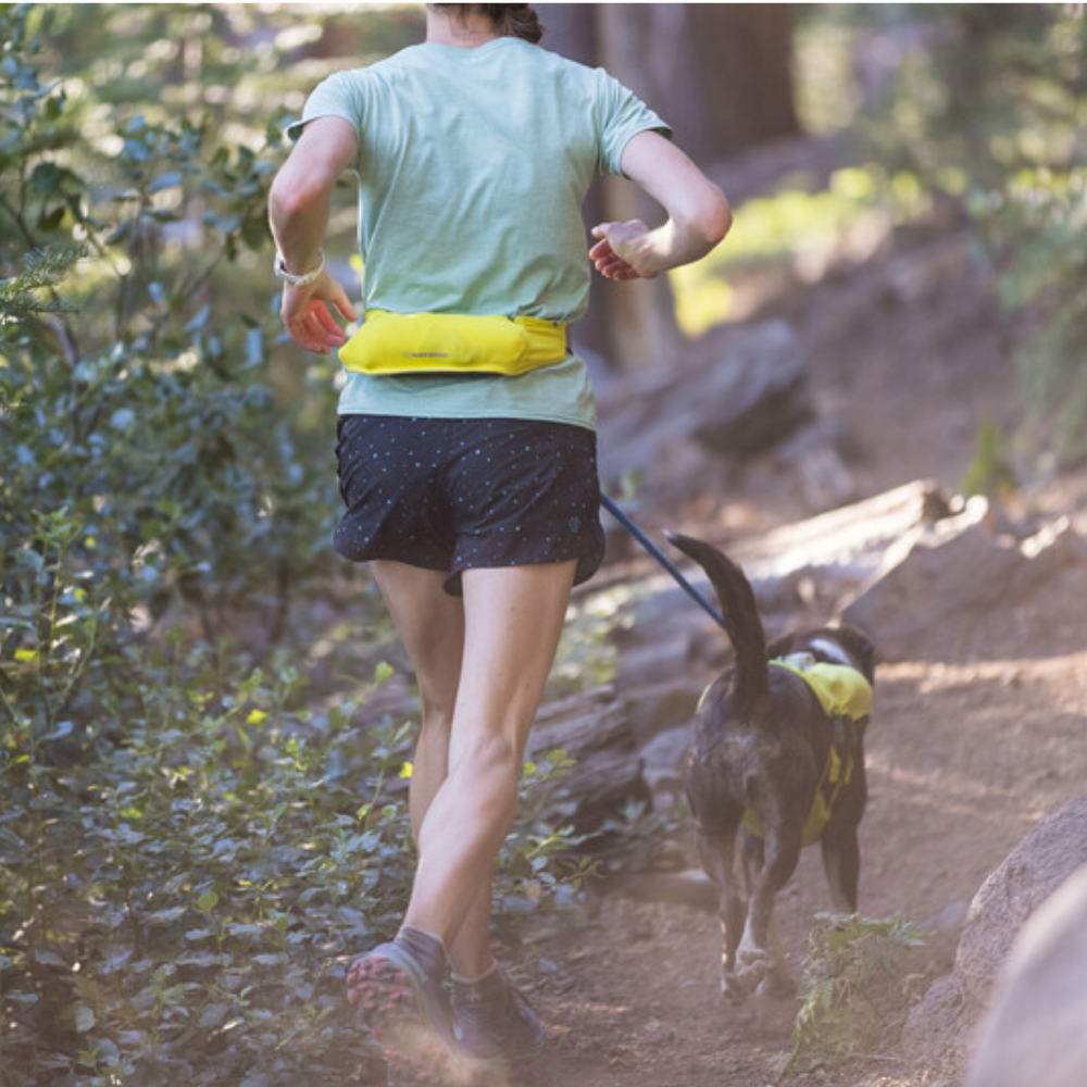 Trail Runner™ Running Belt - Lichen Green Pessoa a correr com bolsa amarela na cintura e cão com colete amarelo numa trilha florestal