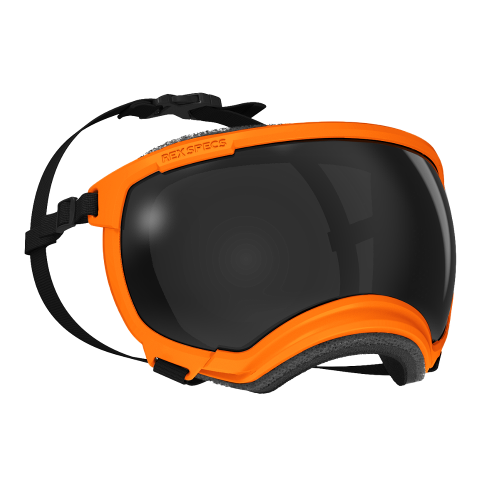 Óculos - RexSpecs V2 - Laranja "Appalachian Orange" Máscara de proteção laranja e preta com lente escura e espuma acolchoada