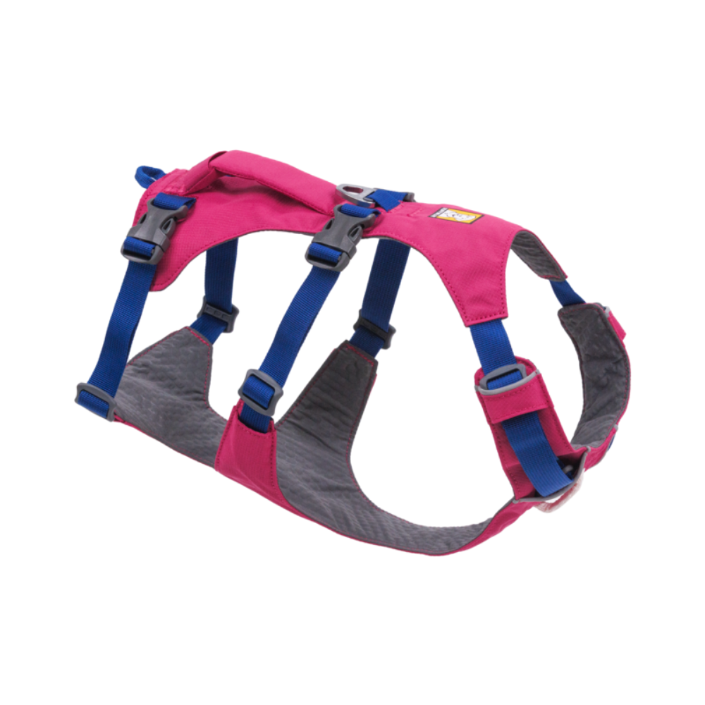 Flagline™ Dog Harness with Handle - Alpenglow Pink - Ruffwear Arnês para cão rosa com tiras azuis e interior cinza acolchoado.