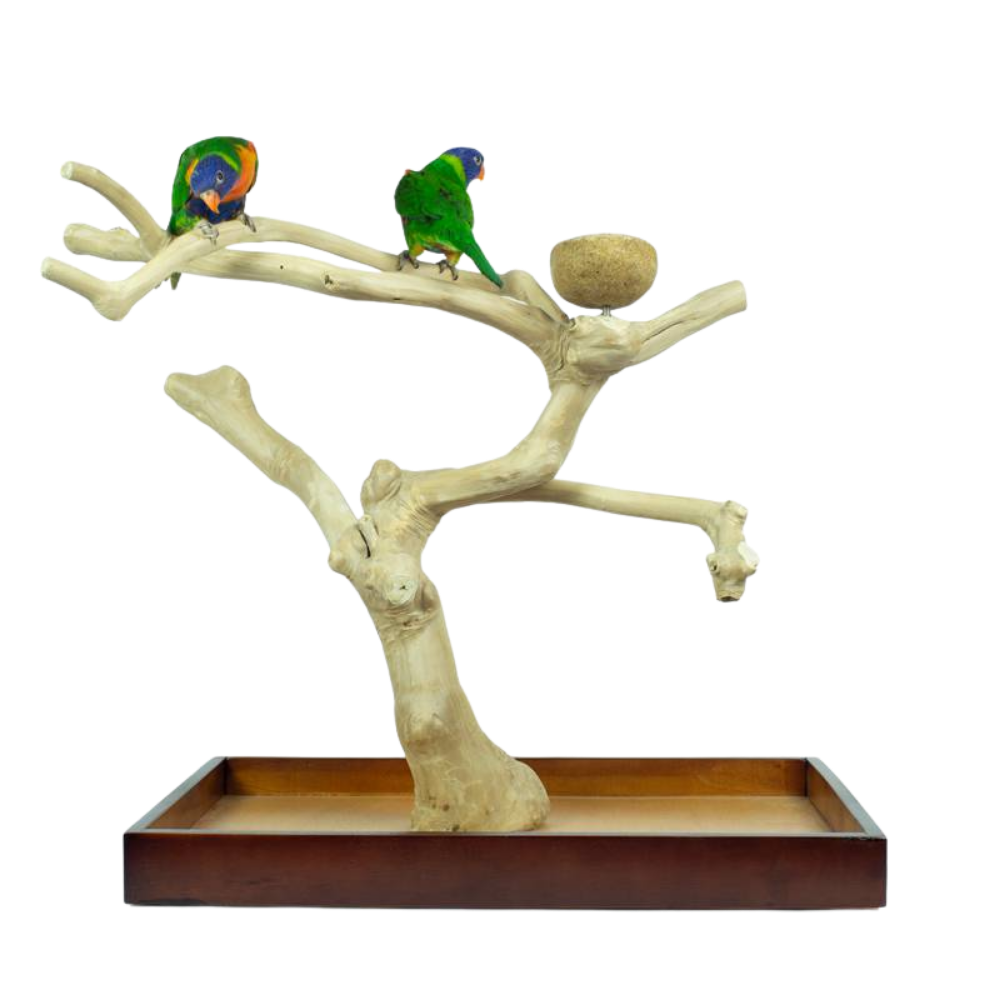 Suporte para actividades - Poleito Java - Premium - Back Zoo Nature Suporte para pássaros em madeira com base escura e dois papagaios coloridos