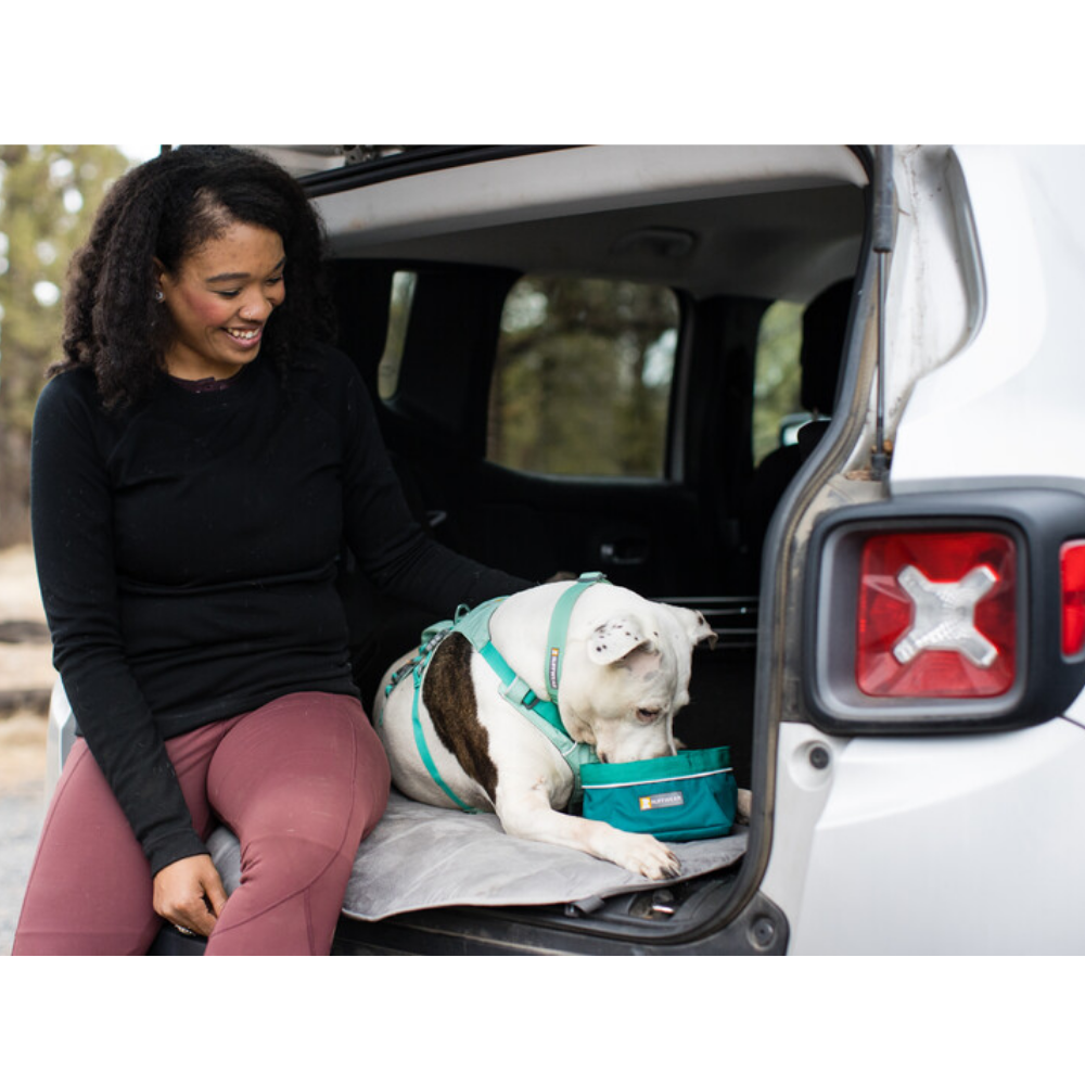 Flagline™ Dog Harness with Handle - Sage Green - Ruffwear Cão a beber água num recipiente verde na bagageira de carro com mulher sentada ao lado