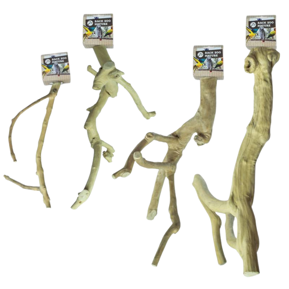 Poleiro de java com vários ramos - Premium - Back Zoo Nature Quatro ramos naturais para animais com etiquetas BACK ZOO NATURE