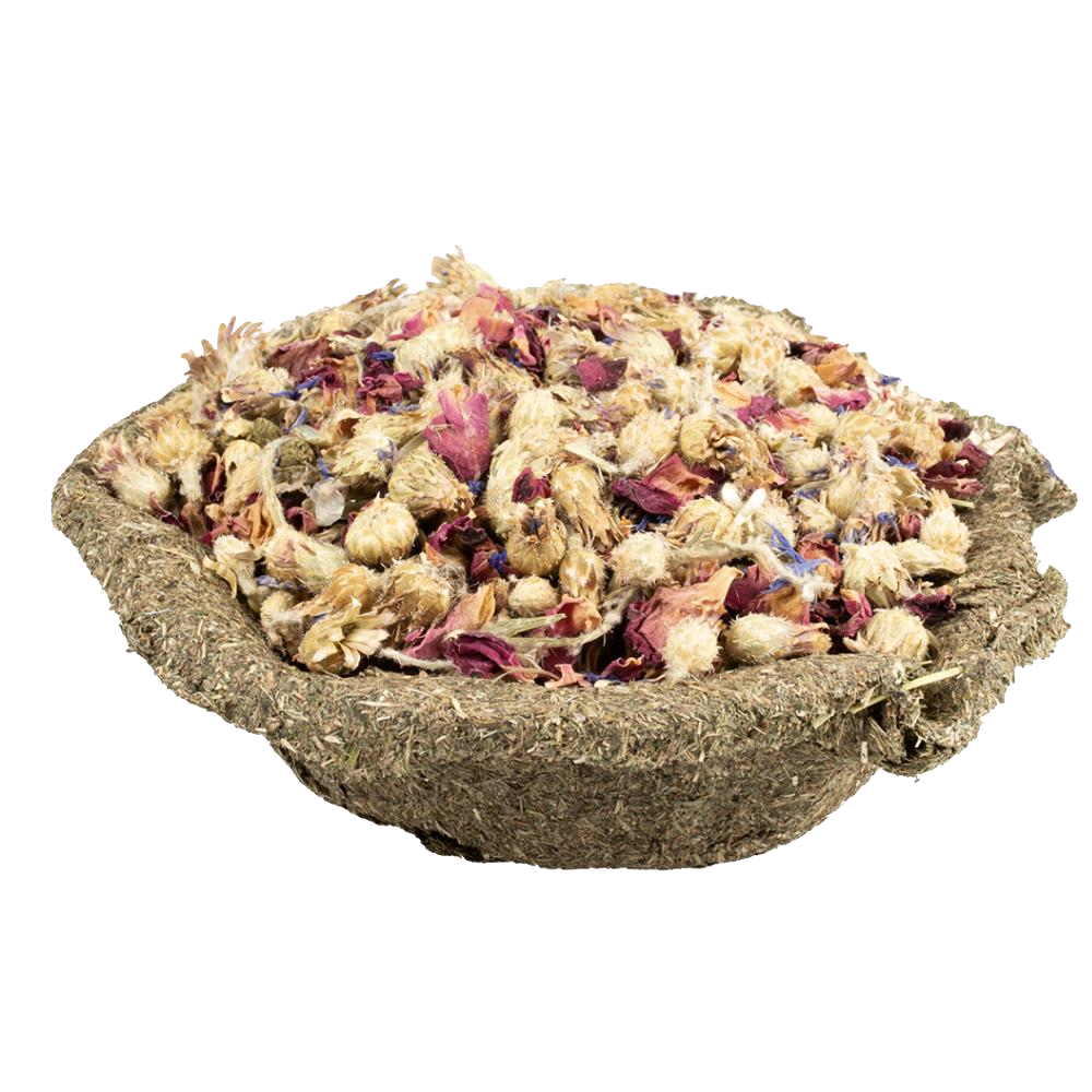 Taça de Feno timoteo com flores Recipiente com flores secas coloridas