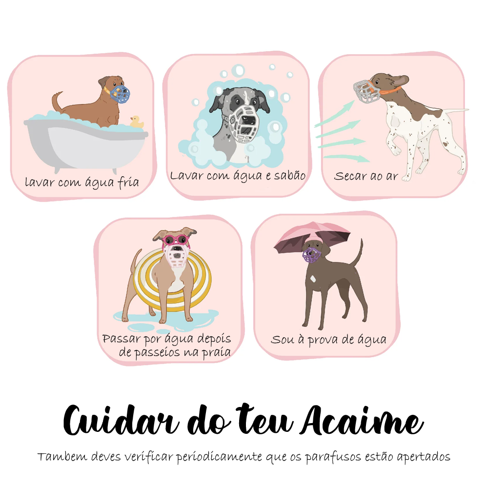 Neli - The Muzzle Movement Instruções de cuidado para focinheira de cão com texto em português e ilustrações de cães