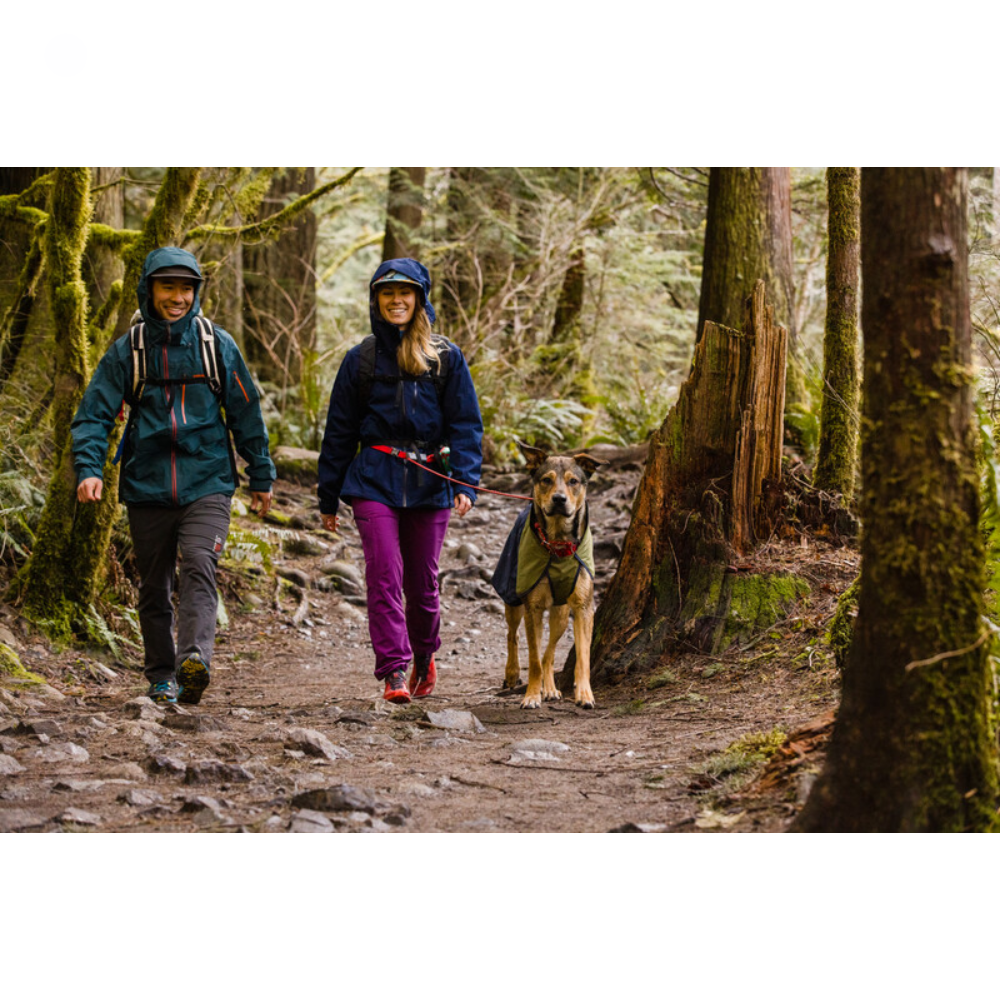 Hitch Hiker™ Leash - Aurora Teal Duas pessoas a caminhar na floresta com um cão, todas vestindo roupas de caminhada impermeáveis.