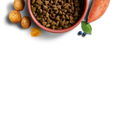 Taça vermelha com comida seca para animais e ingredientes naturais ao redor