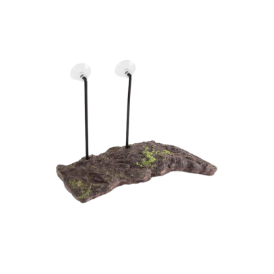Mini cenário decorativo base castanha com musgo, suportes pretos e ventosas transparentes