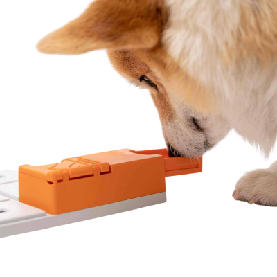 Cão castanho e branco cheirando objeto plástico laranja num tapete branco