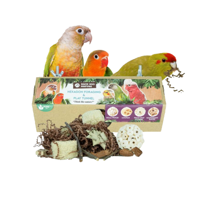 Túnel de jogo para aves com diferentes materiais naturais, embalagem com pássaros coloridos no topo