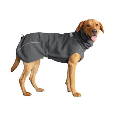 Cão castanho com casaco cinzento de tecido texturado e gola alta