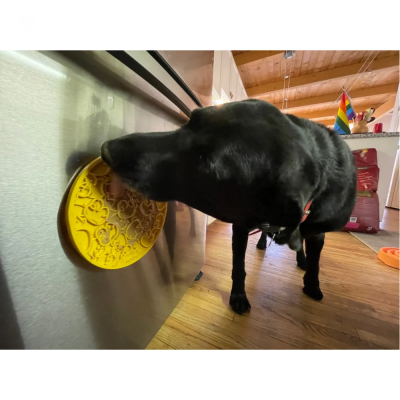 Comedouro interativo amarelo para cães numa superfície metálica com cão preto a comer