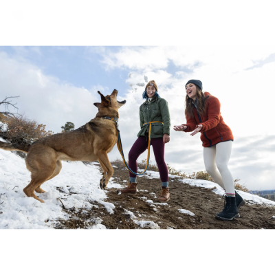 Duas mulheres ao ar livre na neve com um cão a brincar com bolas de neve.