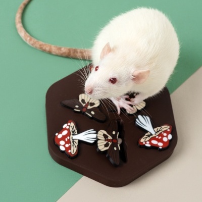 Rato branco com olhos vermelhos em base hexagonal castanha com ímanes de cogumelos coloridos