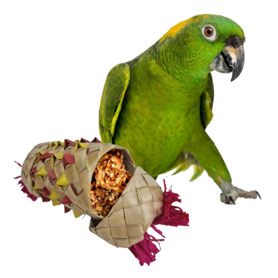 Papagaio verde ao lado de brinquedo cónico feito de fibras naturais com sementes e franjas vermelhas