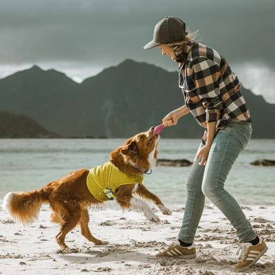 Mulher a brincar com cão de colete amarelo na praia com montanhas ao fundo