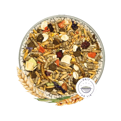 Prato redondo com mistura de ração diversa para roedores com selo 24/7 AD LIB