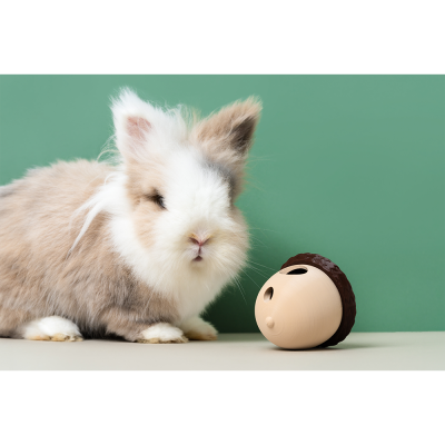 Coelho castanho e branco junto a brinquedo redondo de plástico