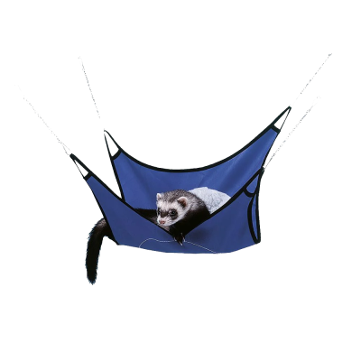 Colchonete azul suspenso com furão