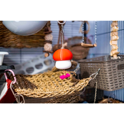 Brinquedo colorido pendurado em gaiola com rede de corda e acessórios para animais