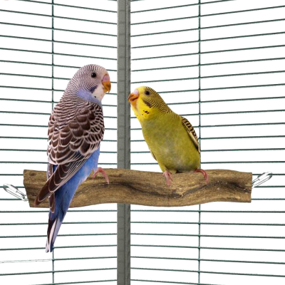 Dois periquitos numa gaiola sobre um galho de madeira