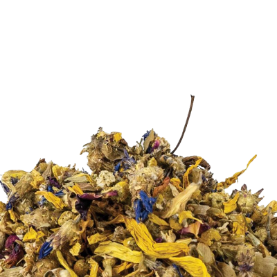 Flores secas coloridas em mistura natural