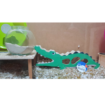 Estrutura de madeira verde em forma de crocodilo e recipiente de vidro com areia numa mesa baixa