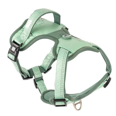 Arnês para cão verde claro com tiras ajustáveis e argola de metal.
