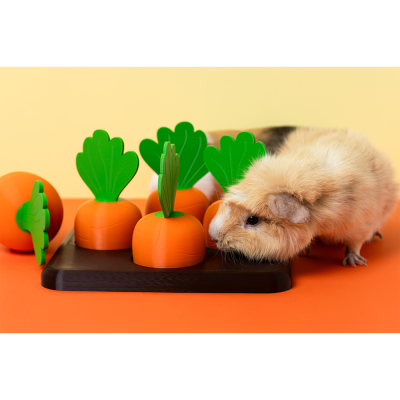 Conjunto de brinquedos de madeira em forma de cenouras e um porquinho-da-índia ao lado em fundo laranja