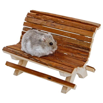 Hamster cinza e branco sentado num banco miniatura de madeira rústica